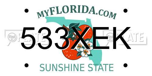 533XEK Florida License Plate