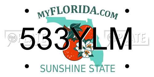 533YLM Florida License Plate