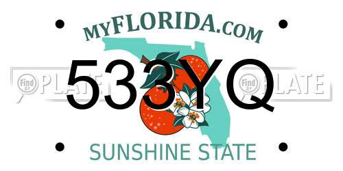 533YQ Florida License Plate