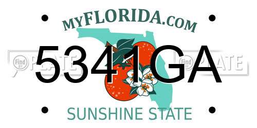 5341GA Florida License Plate
