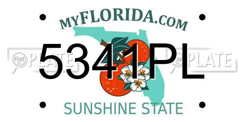 5341PL Florida License Plate