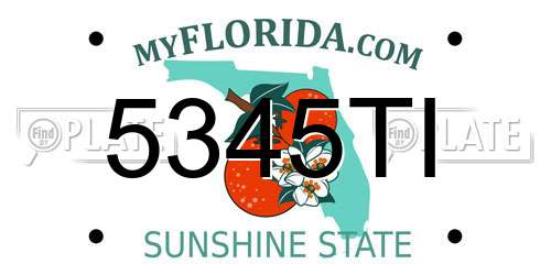 5345TI Florida License Plate