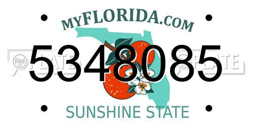 5348085 Florida License Plate
