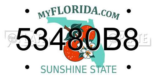 53480B8 Florida License Plate