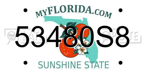 53480S8 Florida License Plate