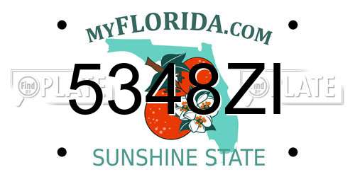 5348ZI Florida License Plate