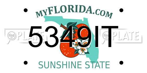 5349IT Florida License Plate
