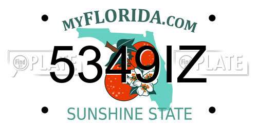 5349IZ Florida License Plate