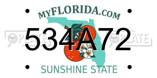 534A72 Florida License Plate