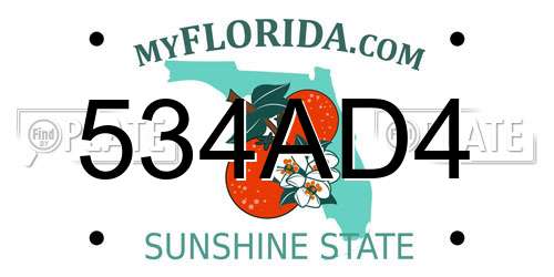 534AD4 Florida License Plate