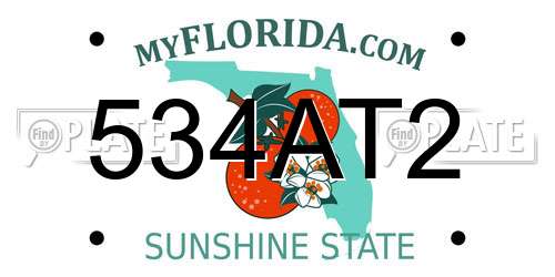534AT2 Florida License Plate