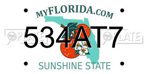 534AT7 Florida License Plate