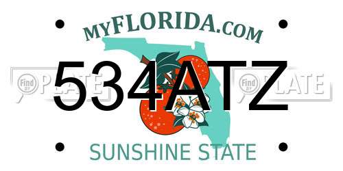 534ATZ Florida License Plate