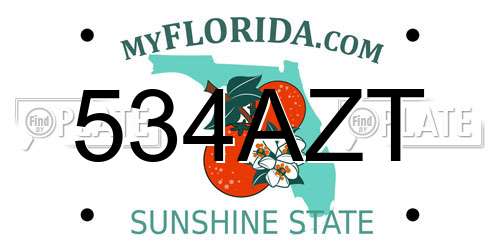 534AZT Florida License Plate