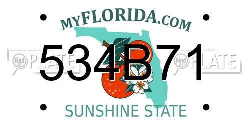 534B71 Florida License Plate