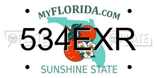 534EXR Florida License Plate