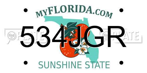 534JGR Florida License Plate