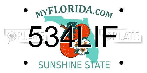 534LIF Florida License Plate