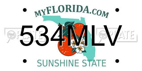 534MLV Florida License Plate