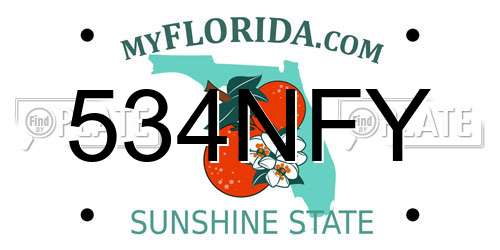 534NFY Florida License Plate