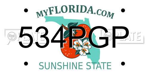 534PGP Florida License Plate