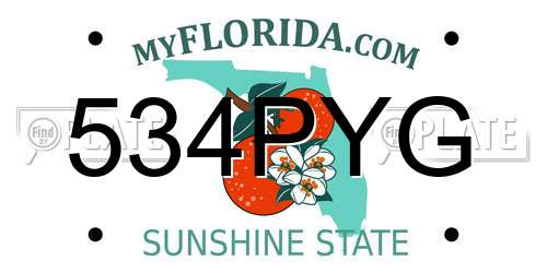 534PYG Florida License Plate