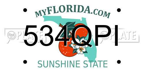 534QPI Florida License Plate