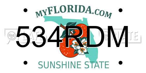 534RDM Florida License Plate