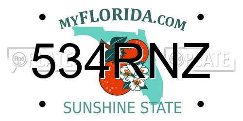 534RNZ Florida License Plate