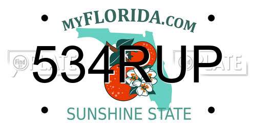 534RUP Florida License Plate
