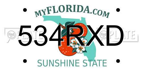 534RXD Florida License Plate
