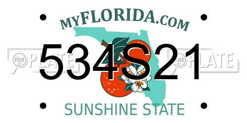 534S21 Florida License Plate