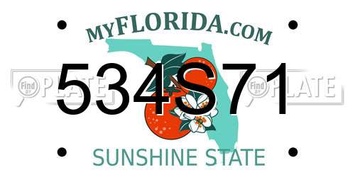 534S71 Florida License Plate