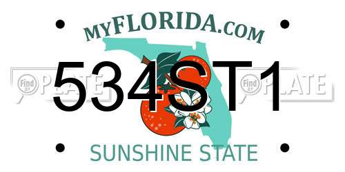534ST1 Florida License Plate