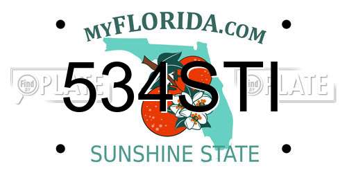 534STI Florida License Plate