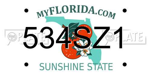 534SZ1 Florida License Plate