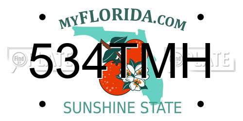 534TMH Florida License Plate