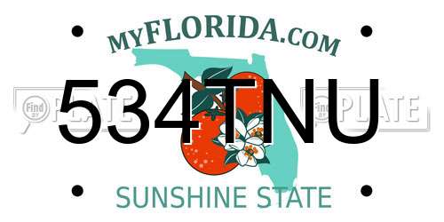 534TNU Florida License Plate