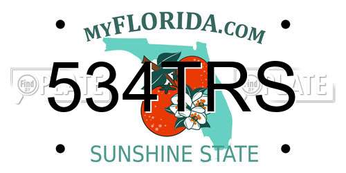 534TRS Florida License Plate