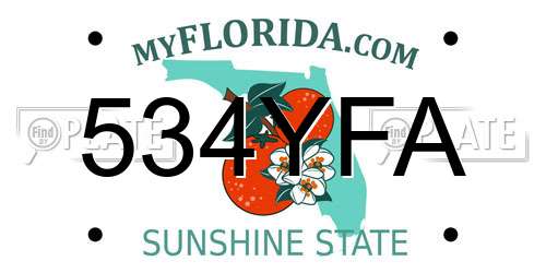 534YFA Florida License Plate