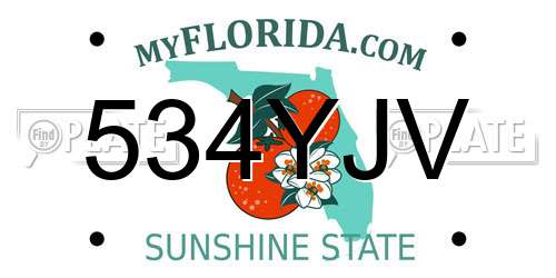 534YJV Florida License Plate