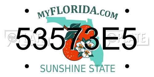 53573E5 Florida License Plate