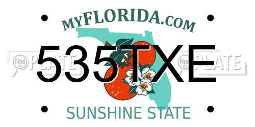 535TXE Florida License Plate