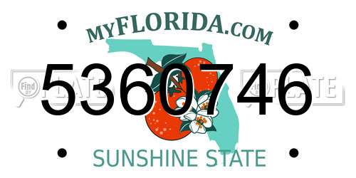 5360746 Florida License Plate