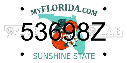 53698Z Florida License Plate