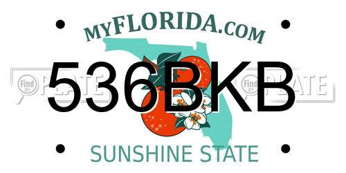 536BKB Florida License Plate