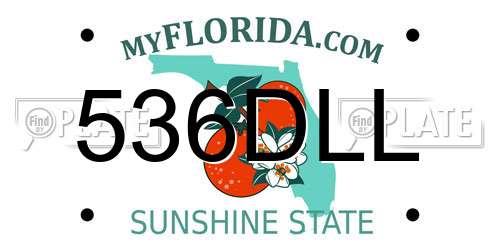 536DLL Florida License Plate