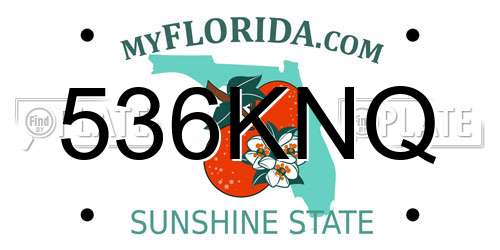 536KNQ Florida License Plate
