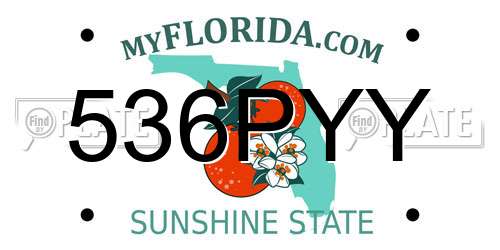 536PYY Florida License Plate