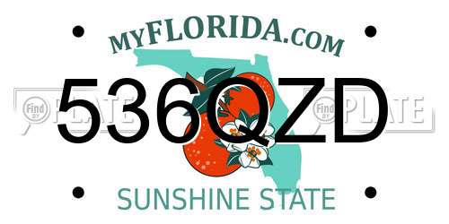 536QZD Florida License Plate